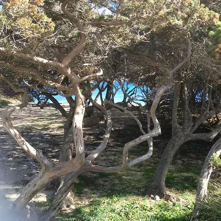 Casa Cristina Olbia Costa Smeralda * Murta Maria