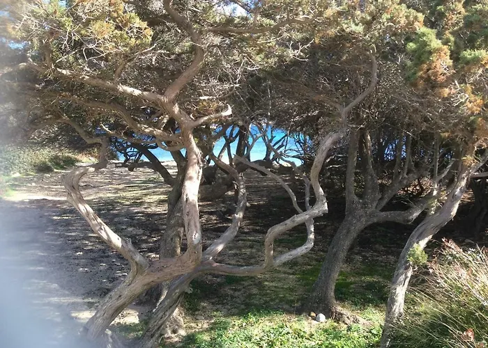 Casa Cristina Olbia Costa Smeralda * Murta Maria